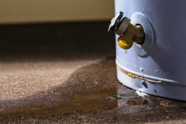 Best Flood damage cleanup  in Desoto Lakes, FL