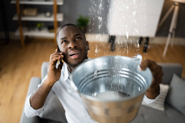 Best Carpet water damage restoration  in Desoto Lakes, FL