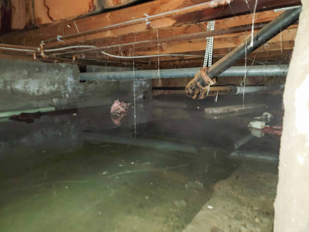Best Flooded house restoration  in Desoto Lakes, FL