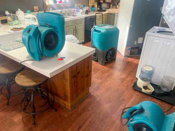Best Water damage cleanup near me  in Desoto Lakes, FL