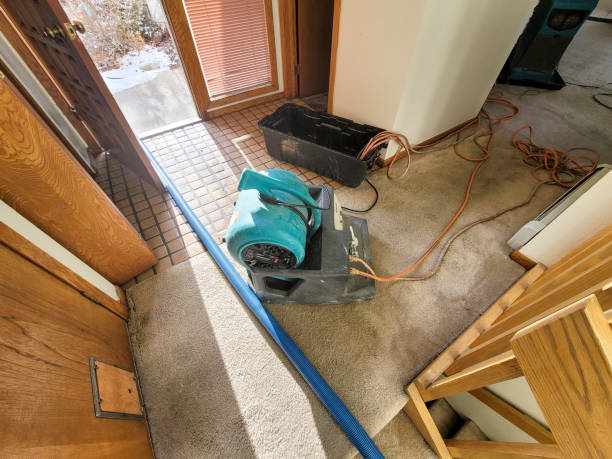 Best Professional water damage repair  in Desoto Lakes, FL