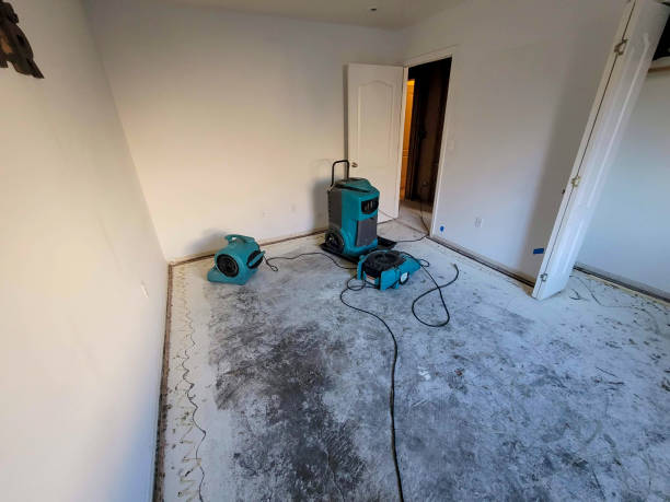 Best Residential water damage restoration  in Desoto Lakes, FL