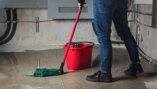 Best Flood restoration services  in Desoto Lakes, FL