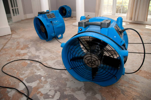 Best Emergency water damage restoration  in Desoto Lakes, FL