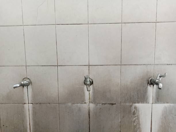 Best 24/7 water damage repair  in Desoto Lakes, FL