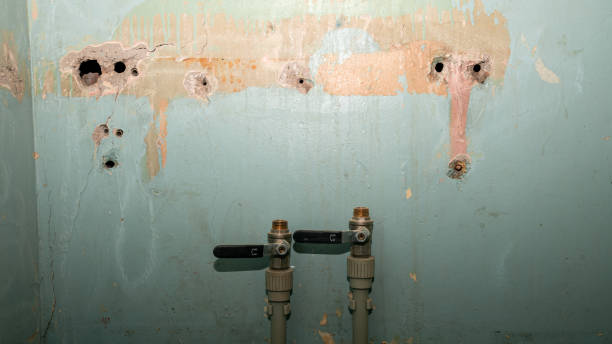 Best Water damage restoration mold remediation  in Desoto Lakes, FL