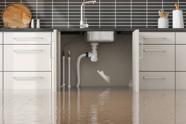 Best Water damage contractors near me  in Desoto Lakes, FL